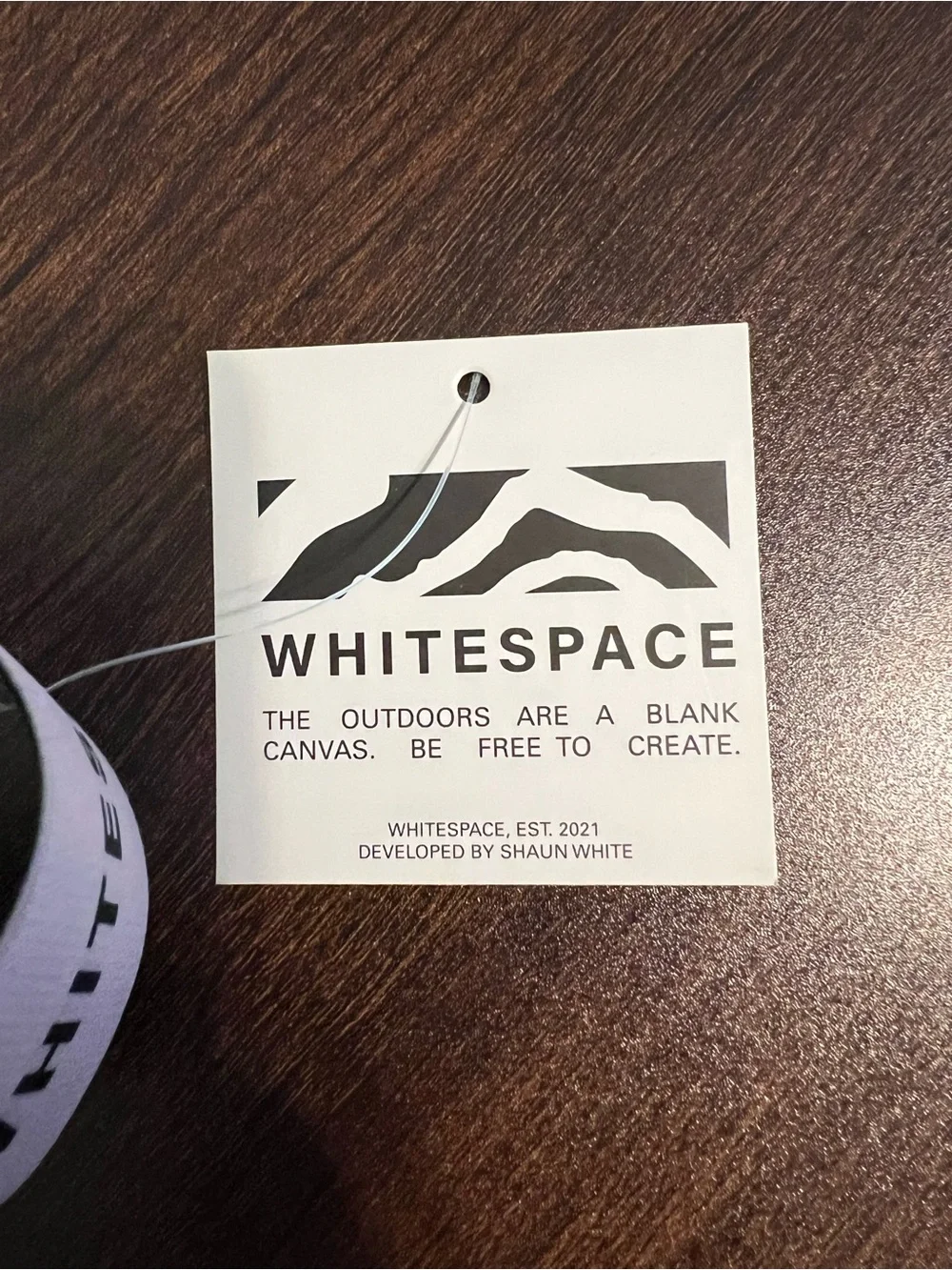 Whitespace Ski/Snowboard Goggles - Blush - NWT